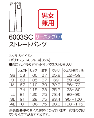 6003sc3_sub1.jpg